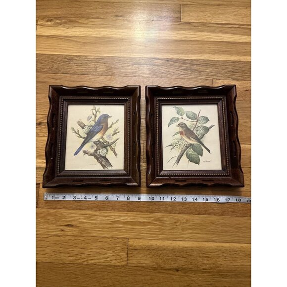 Vintage Wood/Scallop Framed Bird Ornithology Prints Ph. Gommer Bluebird/Female - Picture 8 of 9